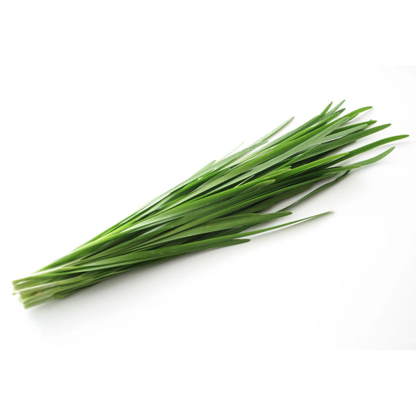 Chinese Chives (Kow Choi)
