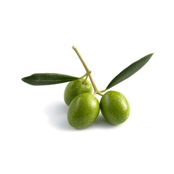 Fresh Green Olives