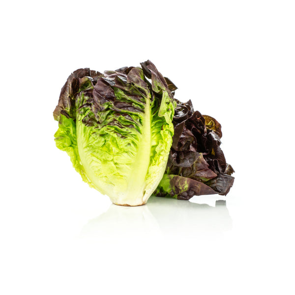 Little Gem Lettuce (Red)