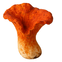 Lobster Mushrooms