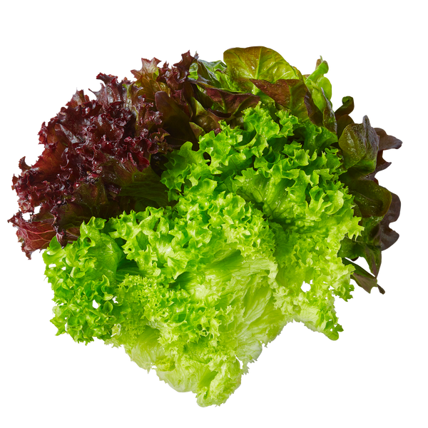Mixed Salad (Whole Heads)