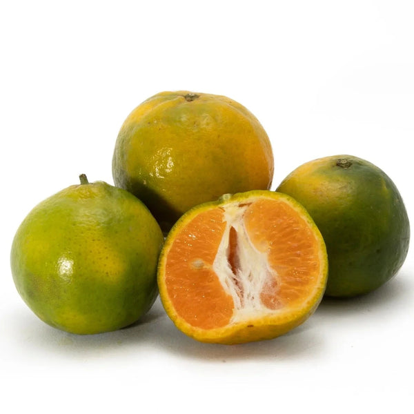 Miyagawa Green Clementines