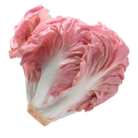 Pink Radicchio