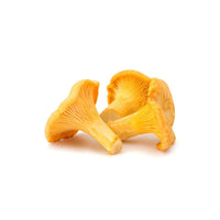 Scottish Girolle Mushrooms
