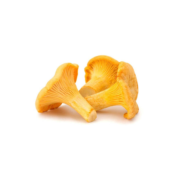 Scottish Girolle Mushrooms