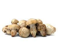 St George Mushrooms