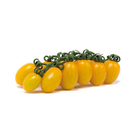 Yellow Baby Datterini Tomatoes