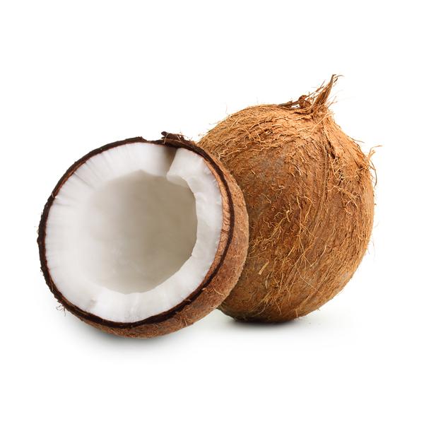 Coconut 1 Unit