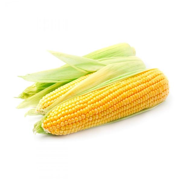 Fresh Sweetcorn