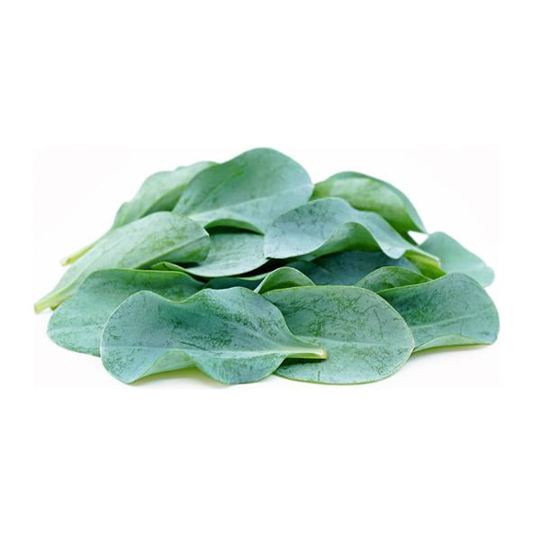 Micro Oyster Leaves (48hr Pre-Order)