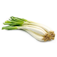 Calcot Onions