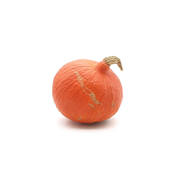 Onion Squash