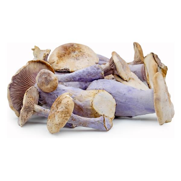 Pied Bleu Mushrooms