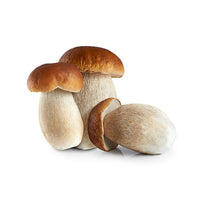 Cepe Mushrooms