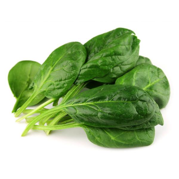 Spinach (Large)